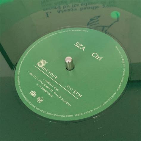 Ctrl Sza Vinyl ･ﾟ Mint Green Aesthetic Vinyl Aesthetic Green Palette
