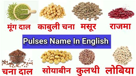 Pulses Name In English And Hindi Common English Words With Hindi