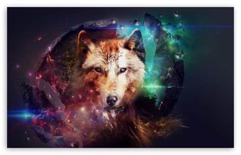 Magic Wolf Hd Desktop Wallpaper High Definition Fullscreen Mobile