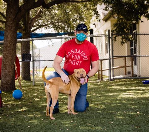 Shelter Celebrates Adoption Of Longest Canine Resident Pet Rescue Report