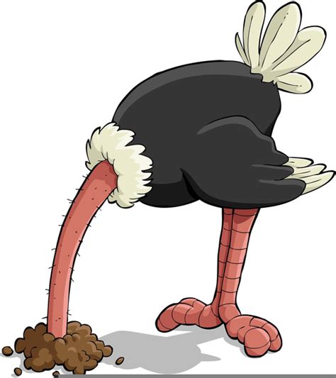 Head In Sand Ostrich Clipart Free Images At Vector Clip