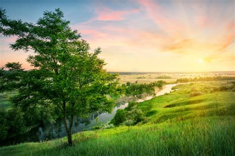 River Flowing In Valley To The Sun Stock Photo Image Of Landscape