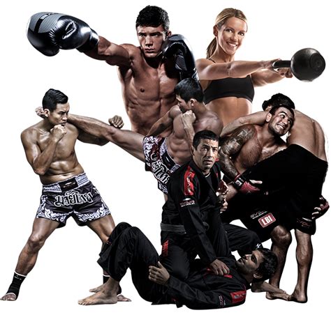 Mma Png Transparent Images Pictures Photos Png Arts