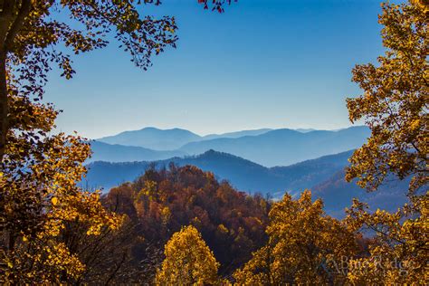 Fall Foliage 2017 Forecast And Guide Blue Ridge Mountain