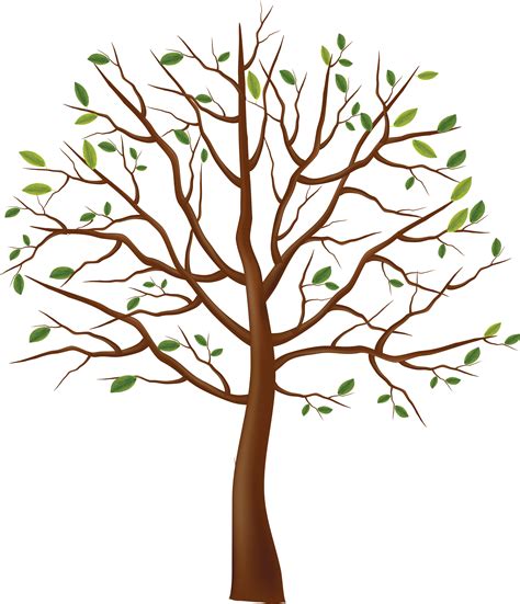 Cartoon Tree With Branches Png Are You Looking For Cartoon Tree