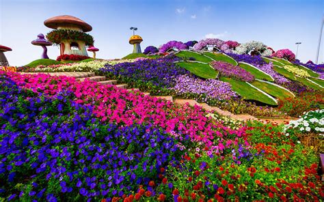 15 Unbelievable Attractions At Dubai Miracle Garden For 2019 Mybayut