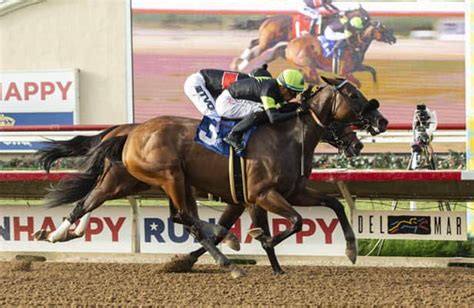 Saturday Plays Oaklawns Pippin Stakes Santa Ynez And More
