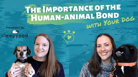 The Importance Of The Human Animal Bond With Your Dog Youtube