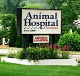 Photos of Lifetime Animal Hospital