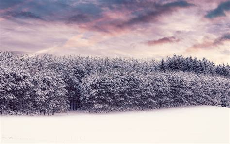 Winter Nature Outdoors 8k Mac Wallpaper Download Allmacwallpaper
