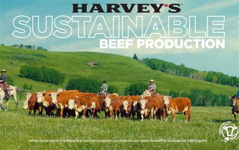 Harveys Partners With The Canadian Roundtable For Sustainable Beef To