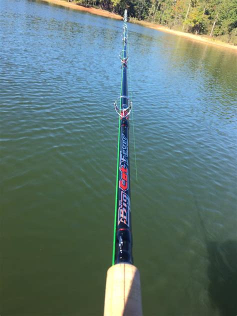 The catch the fever big cat fever casting rod has a cork handle with a tapered design allowing for easy release from rod holders. You've asked for it and now it's on the... - Big Cat Fever ...