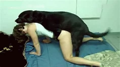 Black Dog Copulates With Amateur Zoo Lover In Xxx Doggystyle Pose Xxx