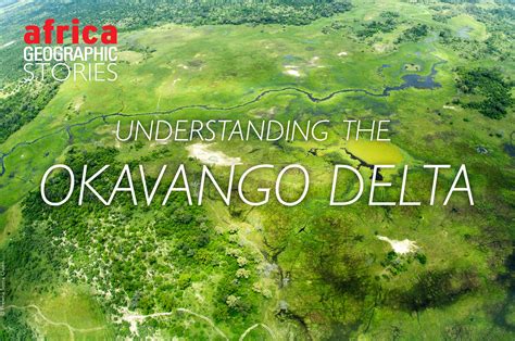 Understanding The Okavango Delta Africa Geographic