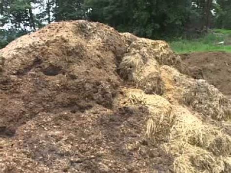 animal waste management  small livestock farms youtube