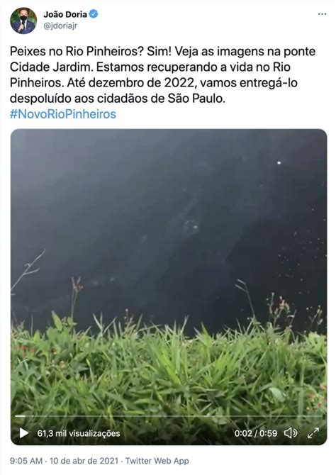 Doria Mostra Rio Pinheiros Com Peixes E Promete Despoluição Até Dezembro De 2022