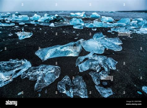 Icebergs On Diamond Beach In Iceland Frozen Ice On Black Sand Beach