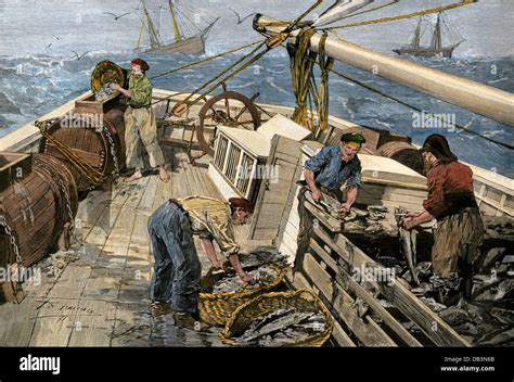 Historical Cod Fishing Hi Res Stock Photography And Images Alamy