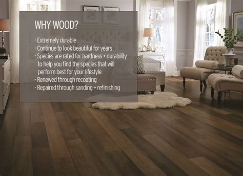 Why Should You Choose Wood In Your Home We Have The Answers Educate