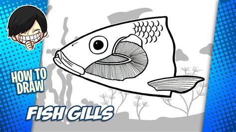 How To Draw Fish Gills Step By Step Youtube