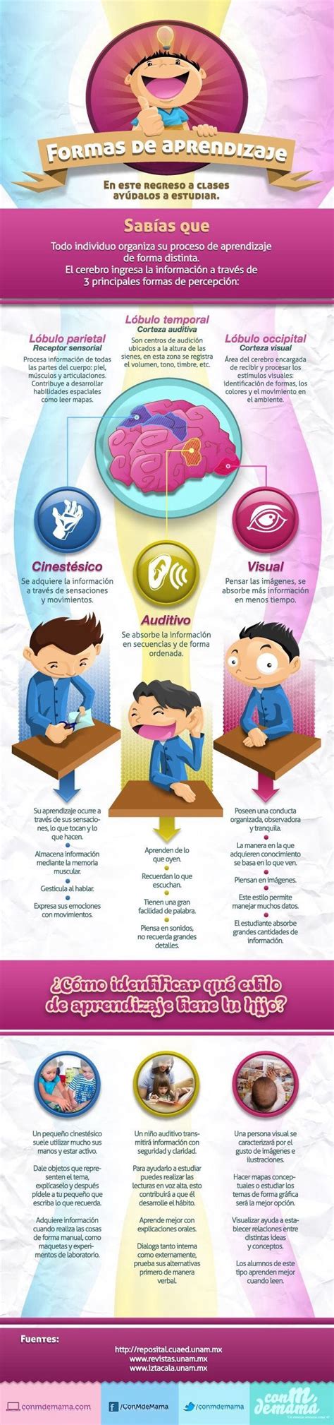 Ideas De Refe Infografias En Infografias Creat Vrogue Co