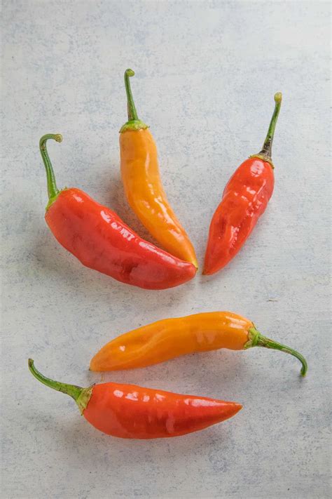 Aji Cristal Peppers Info Seeds And More Chili Pepper Madness