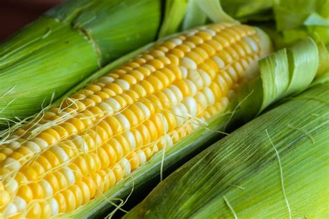 Sweet Corn The Picnic Essential With Low Pesticide Exposure Mydx