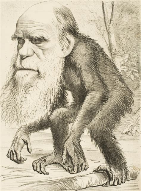 Charles Darwin 406147 Uludağ Sözlük Galeri