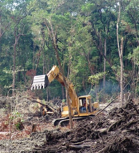 Land Clearing In Queensland Triples After Policy Ping Pong