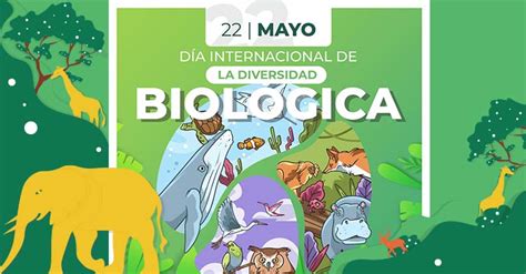 Día Internacional De La Diversidad Biológica 22 De Mayo Instituto