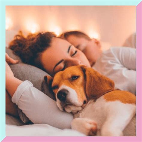 Dormir Con Tu Perro Es Mejor Que Con Tu Pareja Lo Dice La Ciencia