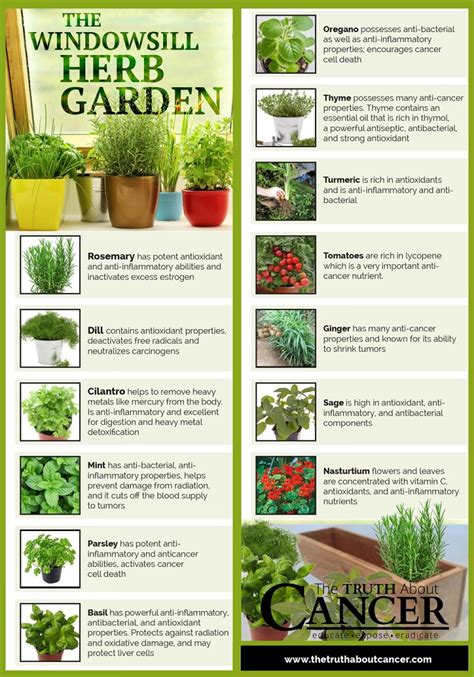 7 Infographics Thatll Teach You Everything About Growing An Indoor