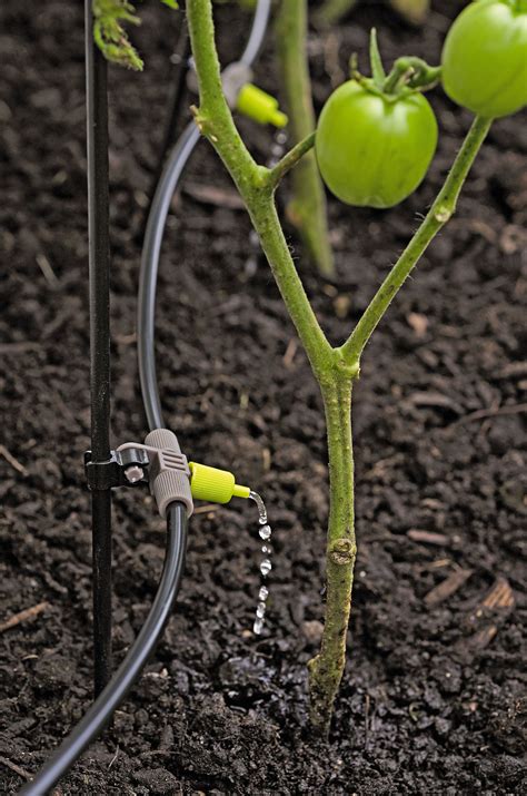 Deluxe Micro Snip N Drip Irrigation Kit With Stakes