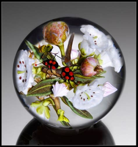 Stunning Glass Paperweights Art