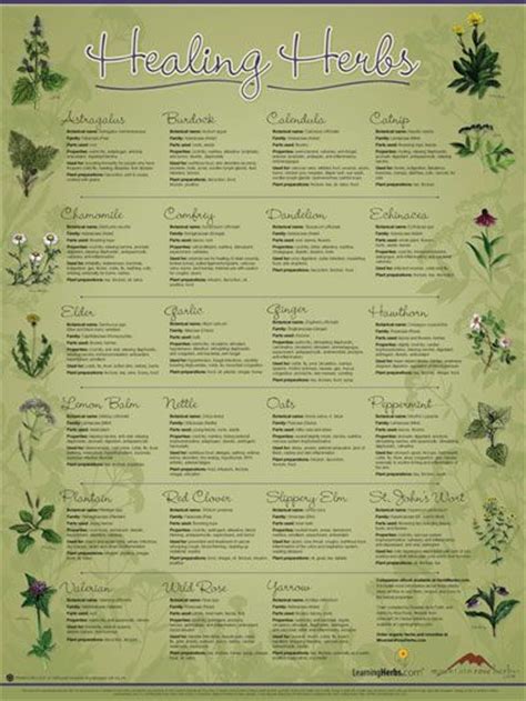 Healing Herbs Wall Chart Prepper Pinterest