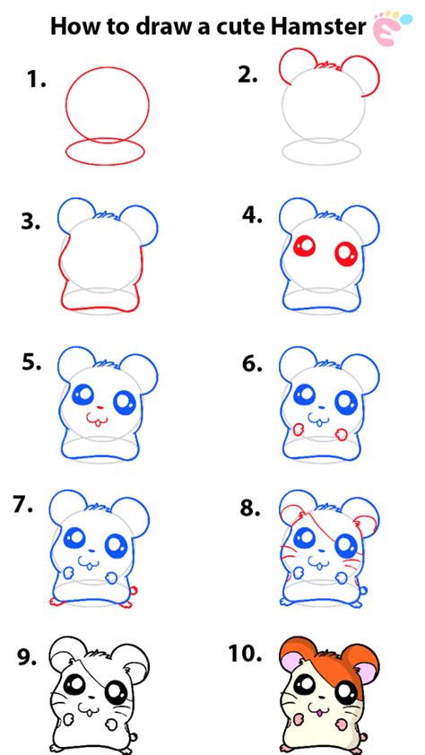Learn How To Draw A Cute Hamster Easy To Draw Everything