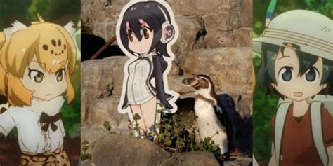 One Zoos Penguin Has Fallen In Love With A Moe Anime Girl