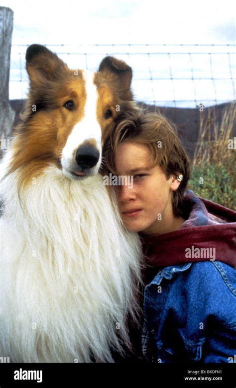 Lassie 1994 Hi Res Stock Photography And Images Alamy