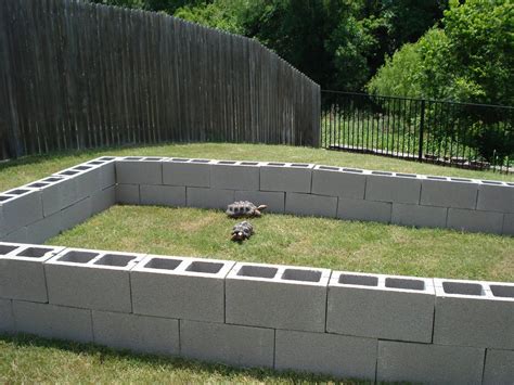 Outdoor Tortoise Habitat With Images Tortoise Habitat Outdoor