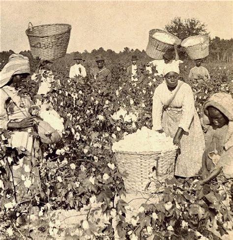 8 Ways Slavery Affected Black Families And Still Has An Impact Today