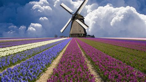 Gray Windmill Nature Windmill Netherlands Hd Wallpaper Wallpaper Flare