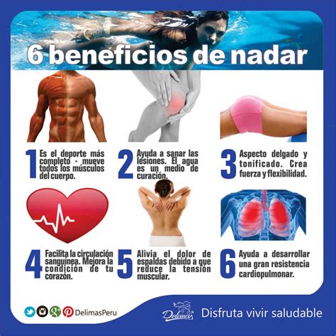 Natación Beneficios ¿por Qué Favorece Tanto A La Salud