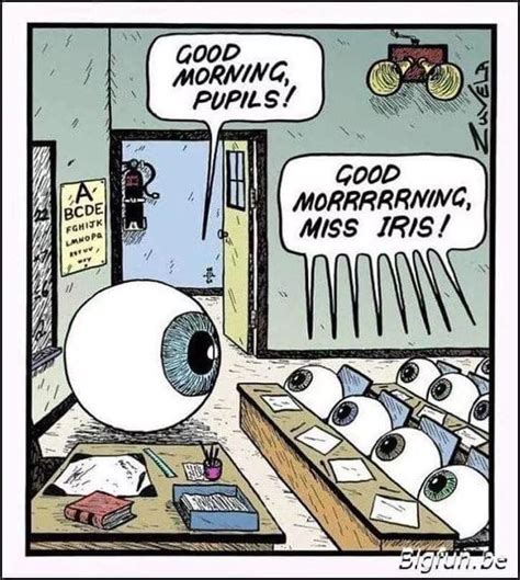 Pin By Jennifer Lane On Funny Eye Jokes Eyes Meme Optometry Humor