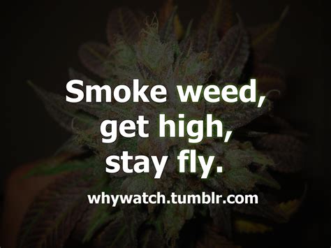 Weed Quotes And Sayings Quotesgram