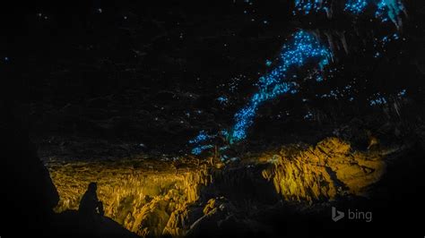 ワイトモツチボタル洞窟ニュージーランド 2016 Bing 壁紙プレビュー