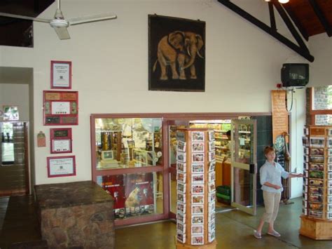 T Shop Oliphant Camp Kruger National Park