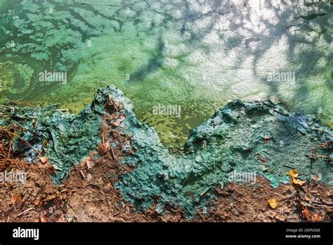Beach polluted rivers with industrial waste Stock Photo - Alamy
