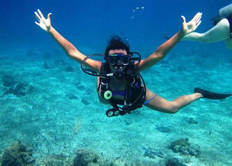 1 Discover Scuba Diving Cozumel Learn To Dive From 79
