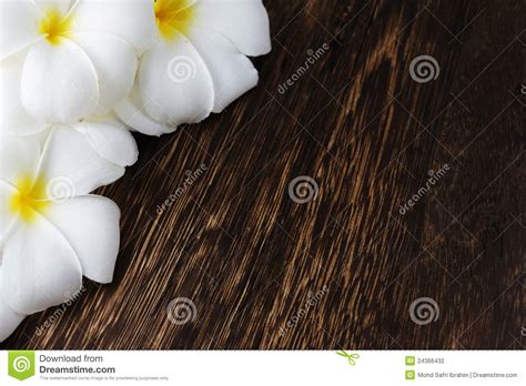 Frangipani Tropical Spa Flower Plumeria Border Design On A Blurry
