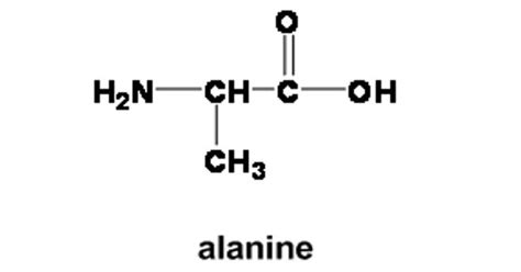 Alanine Structural Formula